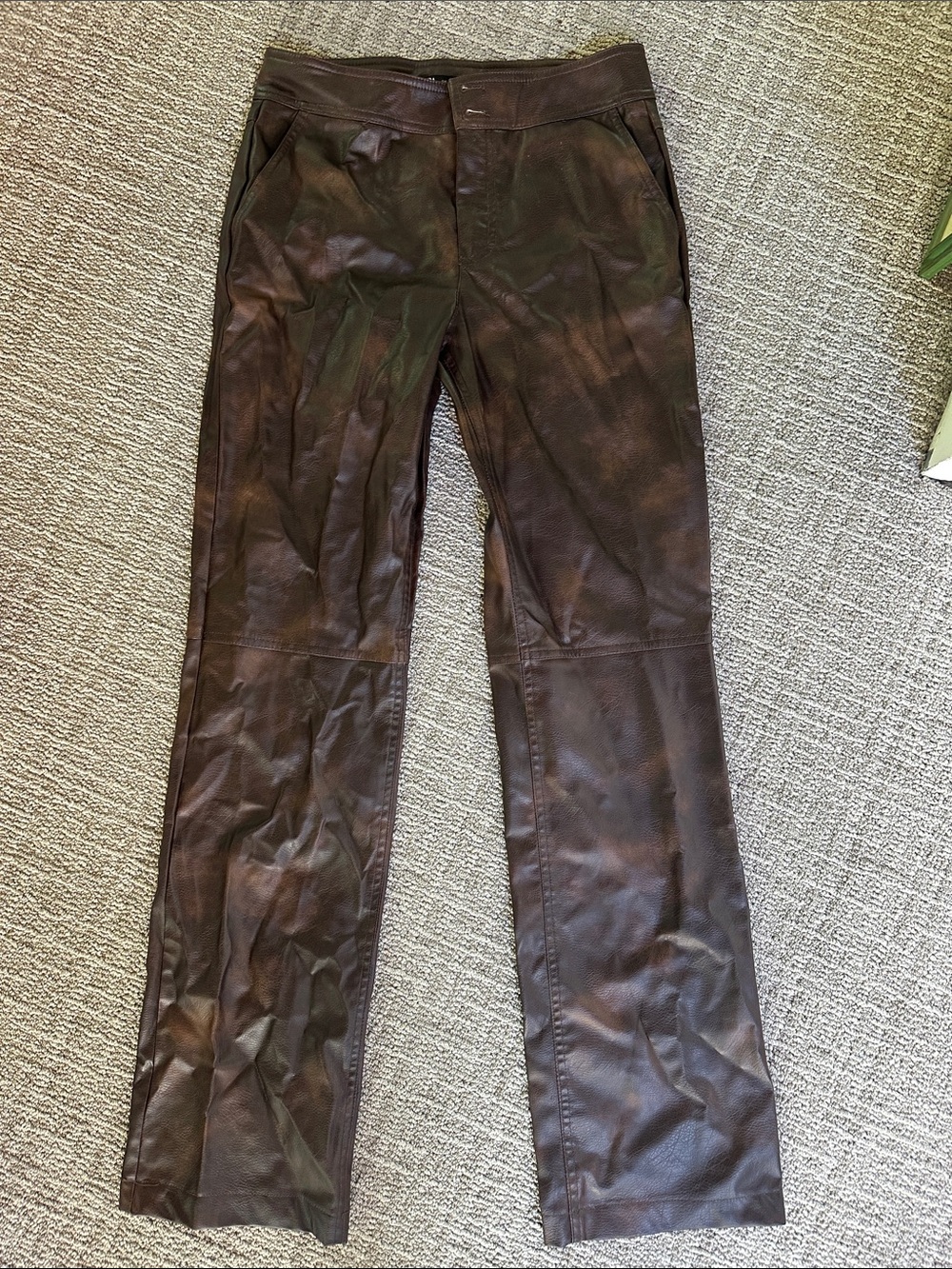 Zara Leather Pants